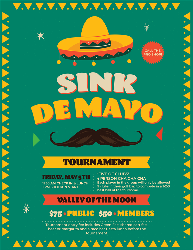 Sink De Mayo Flyer